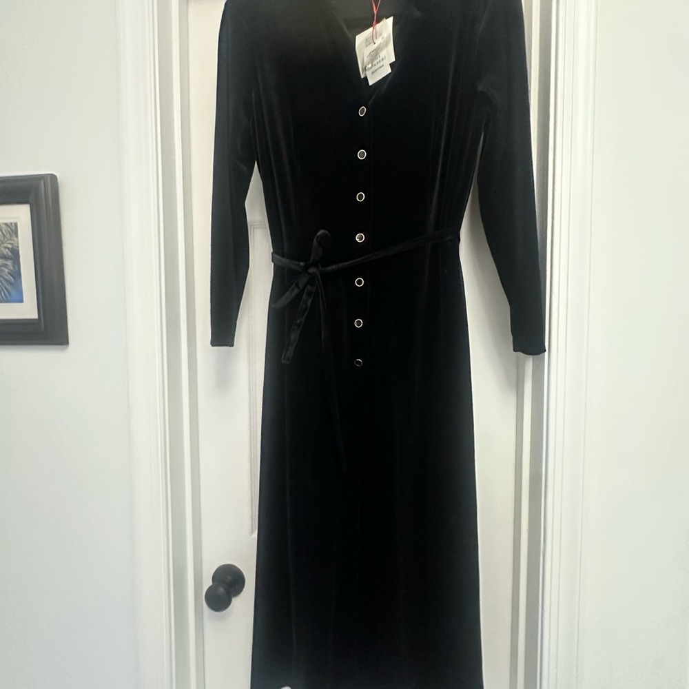 Elegant Black Velvet Dress